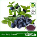 100% natural freeze dried acai berry extract powder